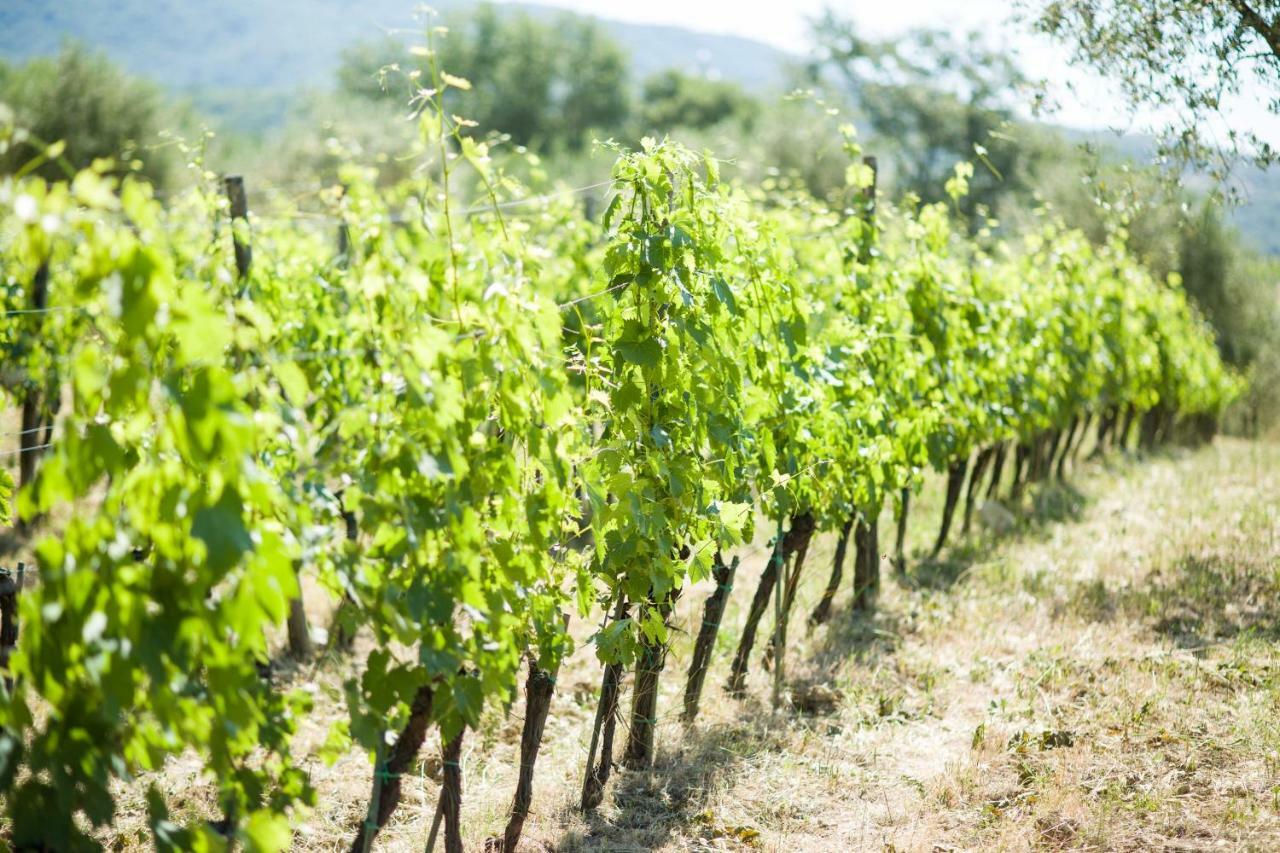 Bed and Breakfast Ancora Del Chianti Греве-ин-Кьянти Экстерьер фото