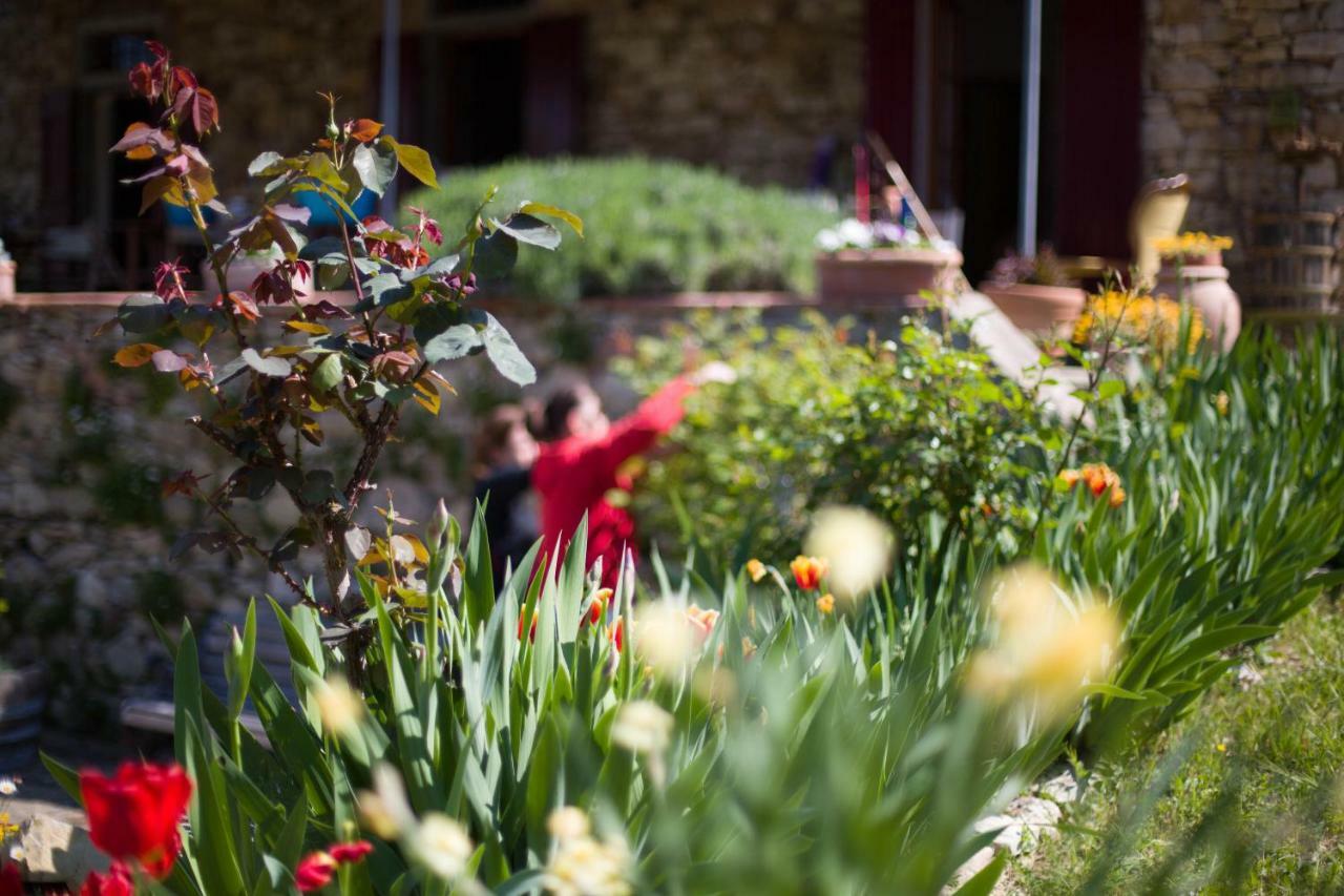 Bed and Breakfast Ancora Del Chianti Греве-ин-Кьянти Экстерьер фото